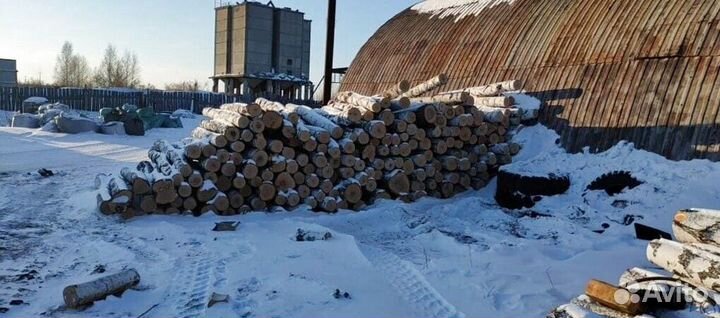 Березовый уголь оптом