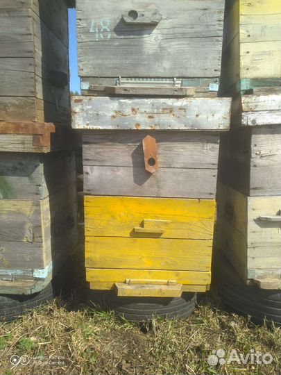 Продам ульи для пчел