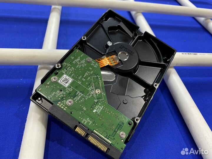 Жесткий диск WD Blue 3.5