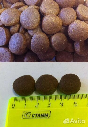 Корм для собак Zooring