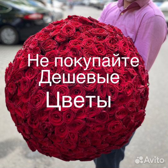 Розы 101 штука 70 см