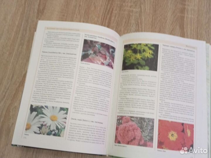 Энциклопедия Цветы