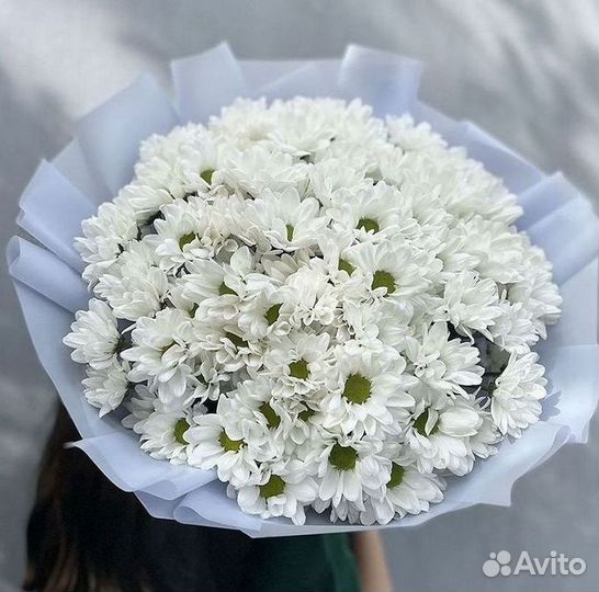 Доставка букетов и цветов. Хризантема