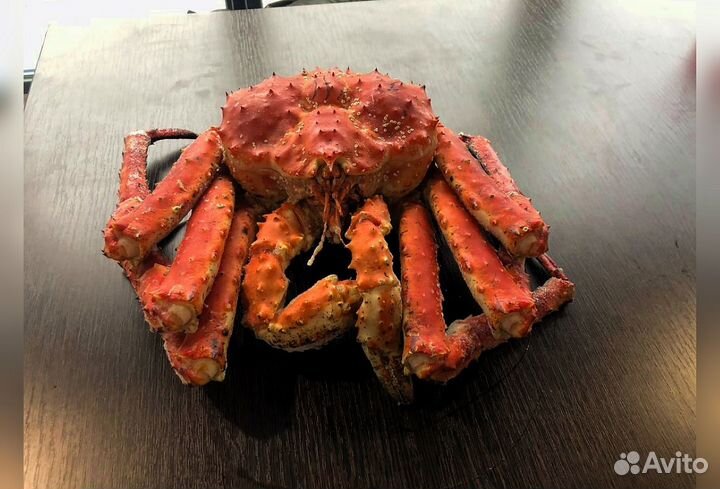 Краб, Креветка, Гребешок