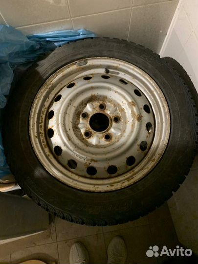 R16 Cordiant Snow Cross 205/55, PCD 5x114.3 DIA 67.1