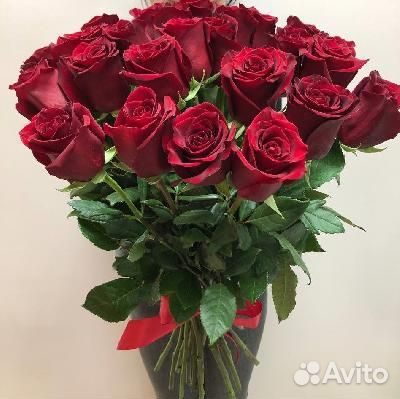 Роза эксплорер красная- 15 шт