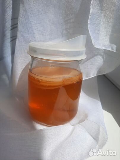 Чайный гриб