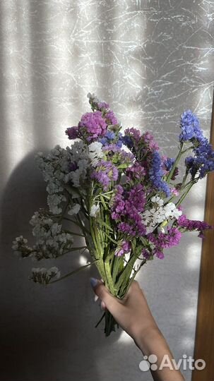 Цветы сухоцветы