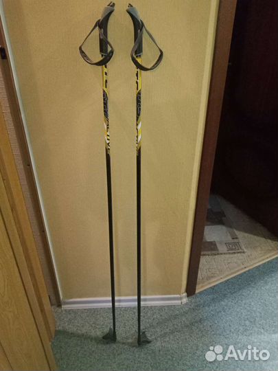 Лыжные палки