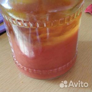 Винный гриб