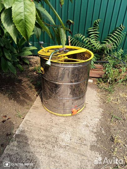 Медогонка трёхрамочная