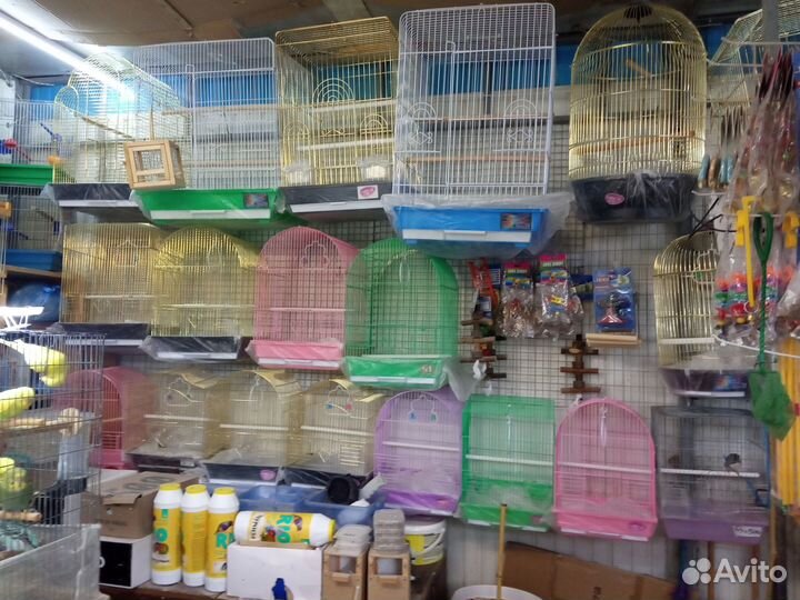 Большие Клетки для Попугаев и птиц.Ц.Рынок