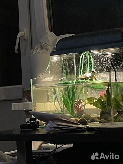 Аквариум Акватеррариум 40 литров с оборудованием