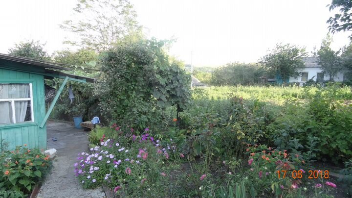 Дом 52,8 м² на участке 25 сот.