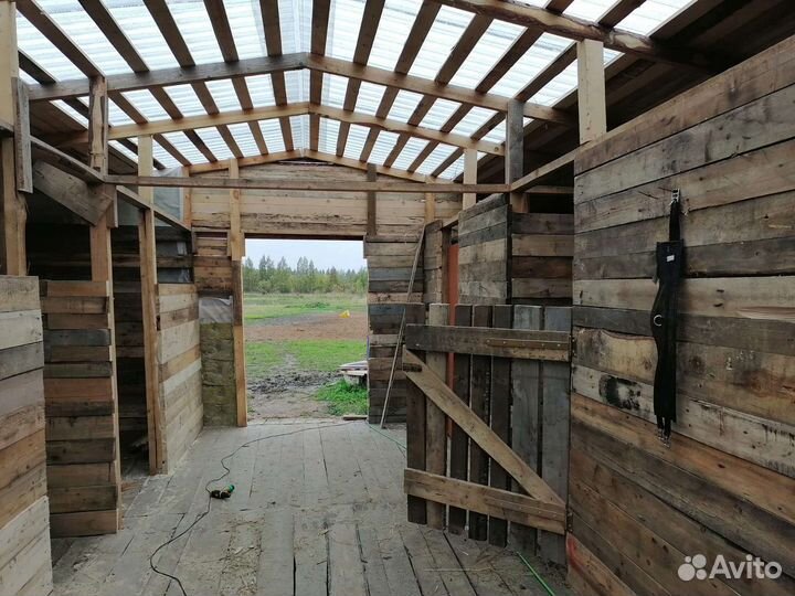 Постой частных лошадей