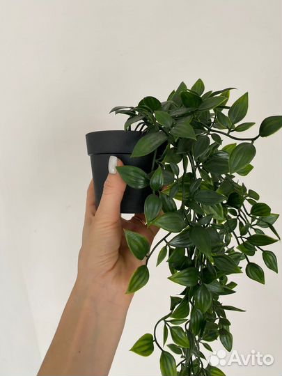 Искусственные растения IKEA фейка