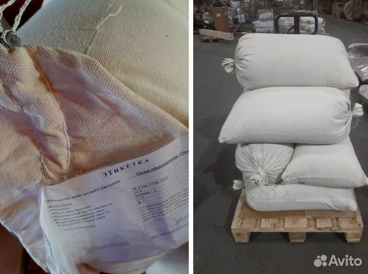 Семена ели на заказ