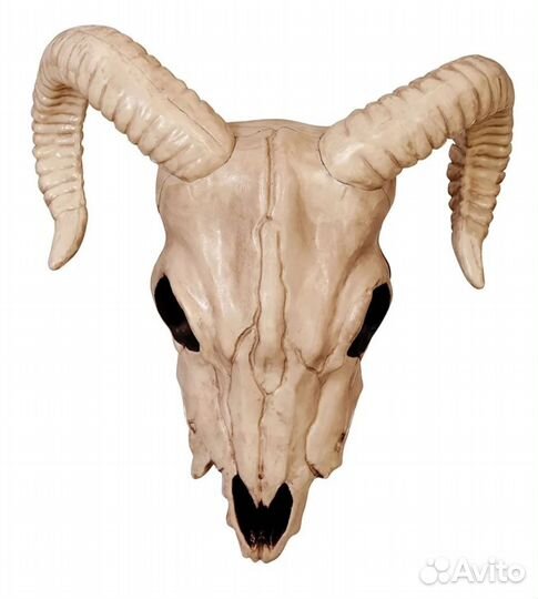 Череп декор/хеллоуин/бар/квест/комната страха