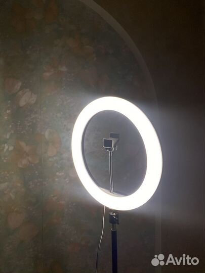 Кольцевая лампа 31 см со штативом RGB