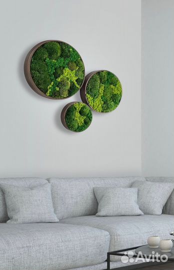 Панно из мха, картина из мха