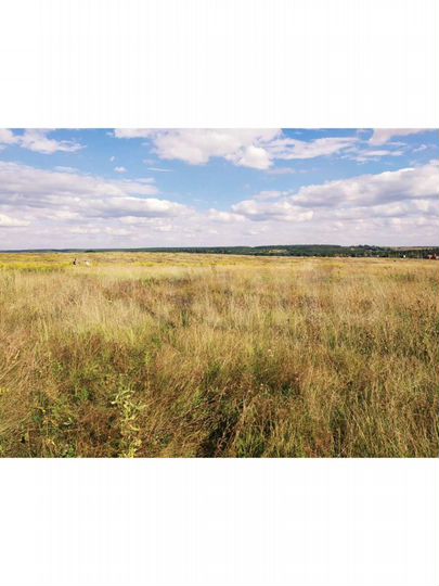 Участок 12 сот. (ИЖС)