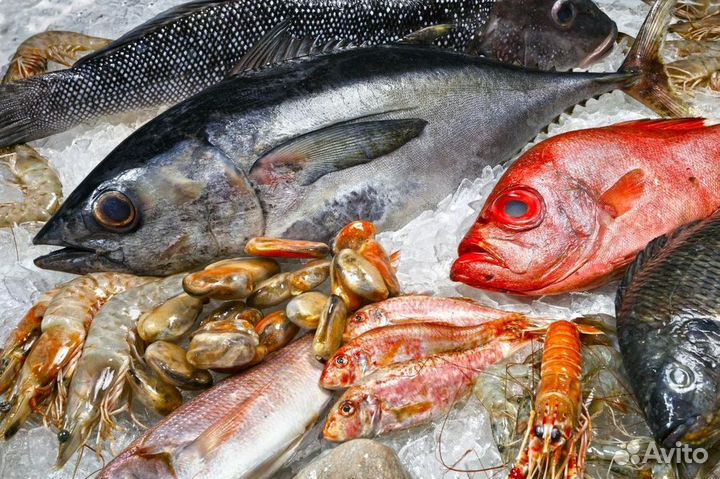 Рыбный магазин – готовый бизнес с базой