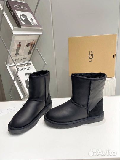 Ботинки мужские UGG