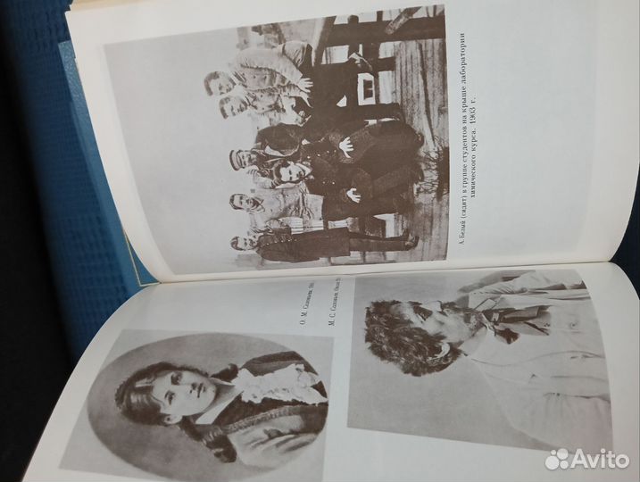 Андрей Белый. Серия литературных мемуаров