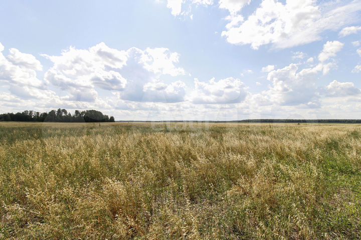 Участок 8,3 сот. (СНТ, ДНП)