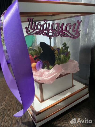 Мини-ферма тропических бабочек
