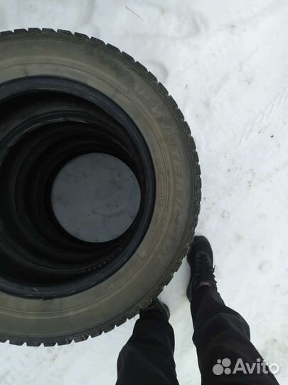 Dunlop Winter Maxx TS-01 185/65 R15