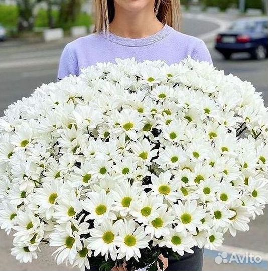 Хризантема Букеты доставка цветов