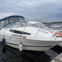 Катер bayliner Байлайнер