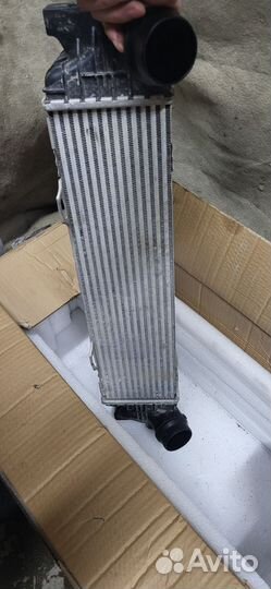 Интеркуллер bmw