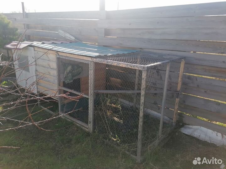 Домик для кур с выгулом