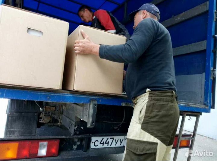 Wildberries под ключ