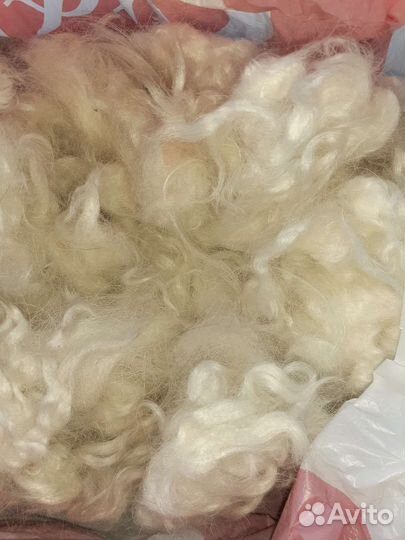 Собачья шерсть