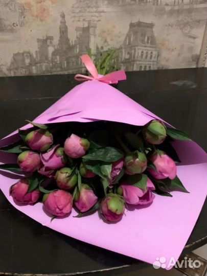 Пионы оптом Зеленоград