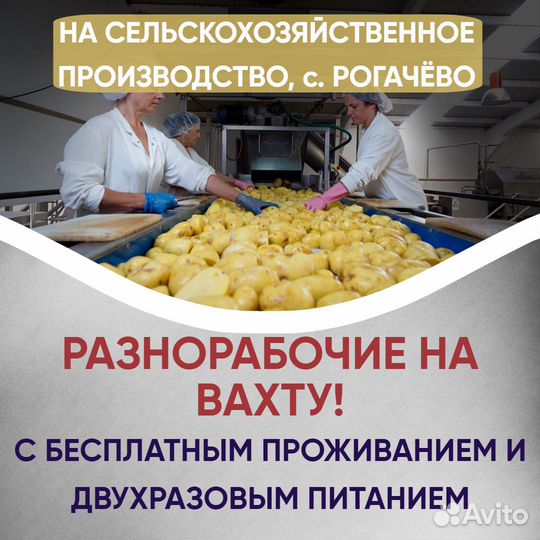 Разнорабочие на с/х. Вахта, Дмитров, с. Рогачево