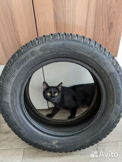 Cordiant Snow Cross 2 185/65 R15