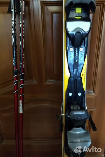 Горные лыжи