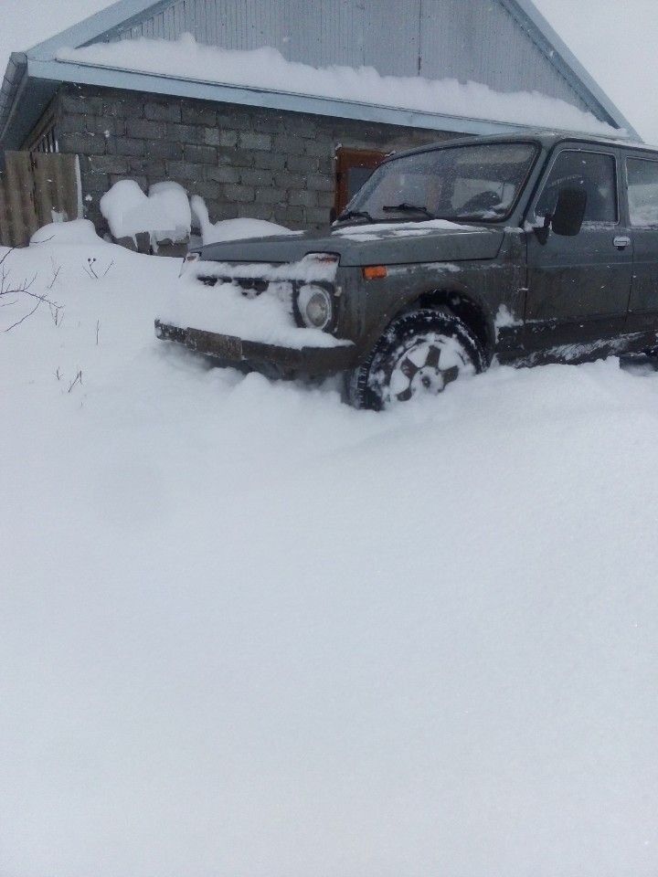 ВАЗ (LADA) 4x4 (Нива): фото из отзыва