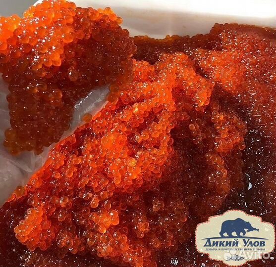 Красная икра горбуша / кета доставка 500гр