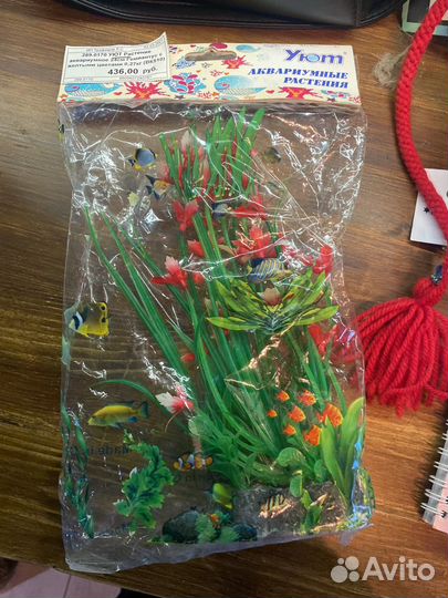 Водоросли доя аквариума