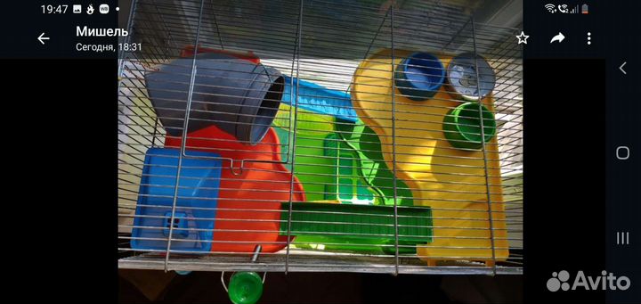 Клетка для грызунов очень большая