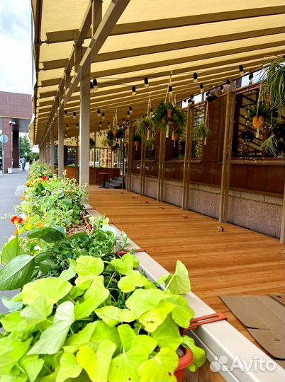 Ретро занавес