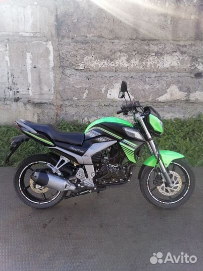 Racer Rc300ck-N Fighter