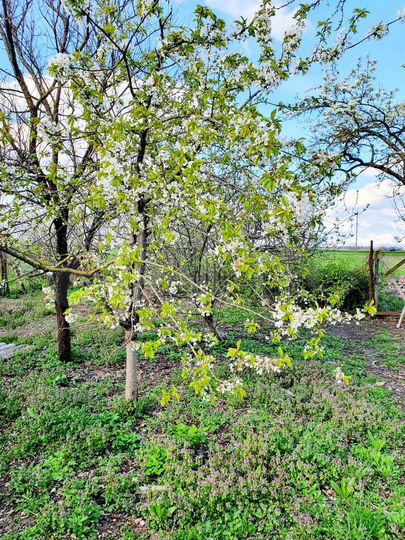 Дом 56 м² на участке 43 сот.