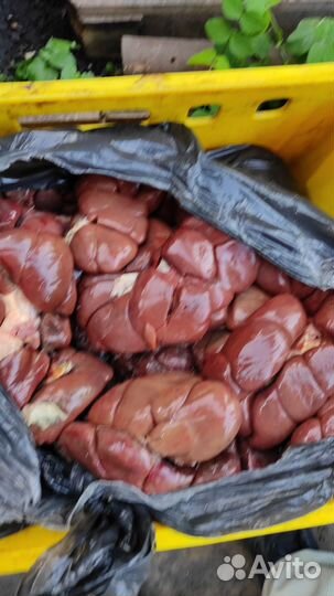 Рубец субпродукты для собак