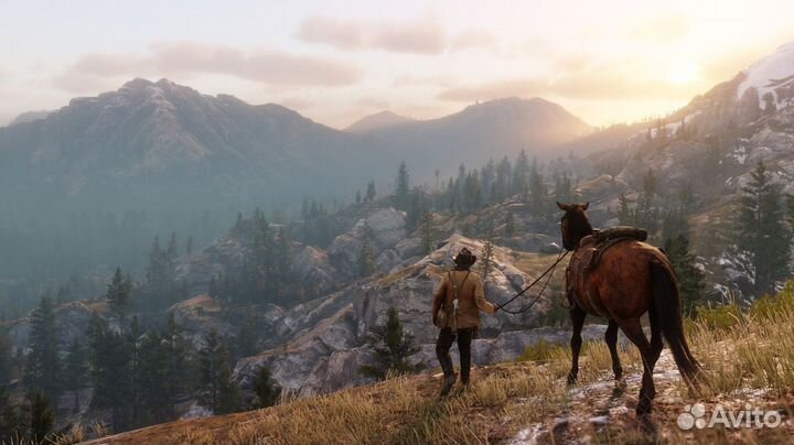 Red Dead Redemption 2 (PS4/PS5) Сыктывкар